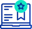 Icon 1